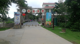 海南娱乐网科技