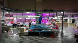 近5000家媒体网站入住媒体传播网，欢迎发布！