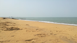 新华社客户端（安丘融媒）