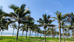 广东资讯网视频