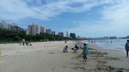 武汉都市网科技