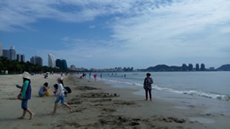 百家号-东方视窗