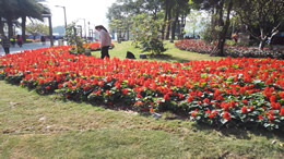 佛山站设计理念为“锦绣湾区，花开禅城”