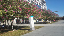 湖南都市网科技