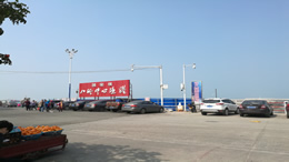 沈阳生活网科技