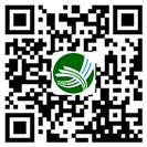 手机媒体传播网